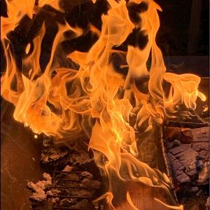 Meet your Posher, Dennis